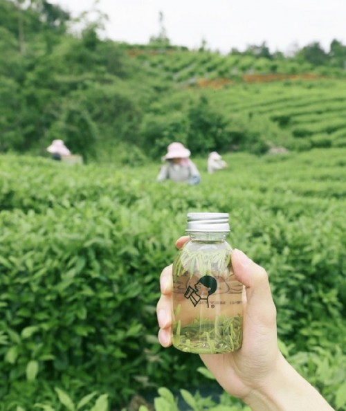 喜茶发布品质真奶标准 以经验沉淀驱动新茶饮供应链与包装耗材品质升级